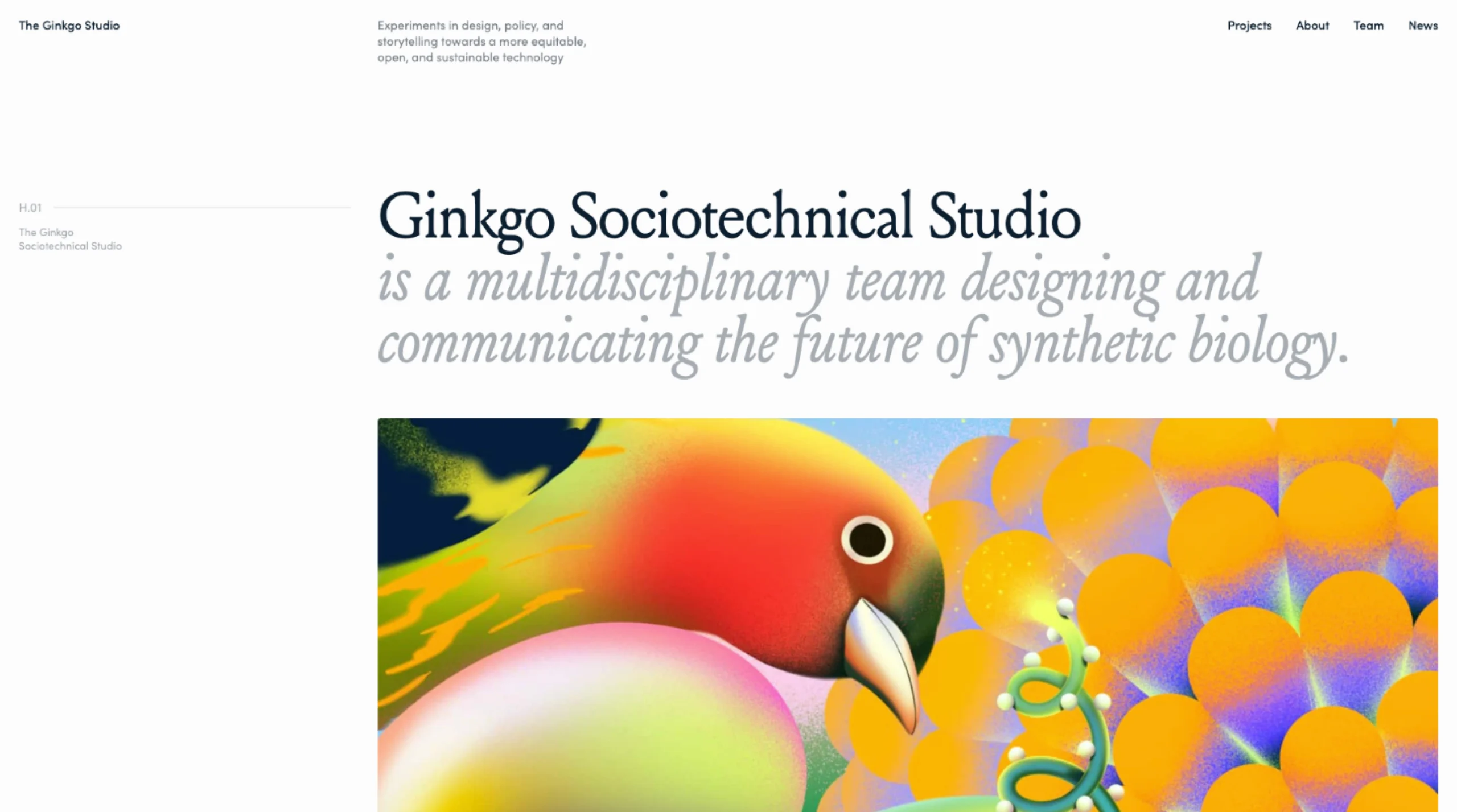 Ginkgo Sociotechnical Studio